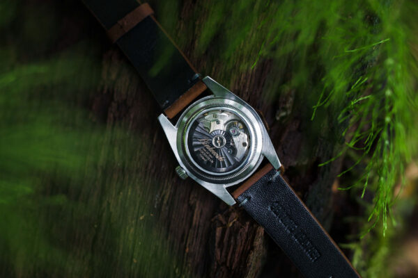 Woodsman I - obrazek 8